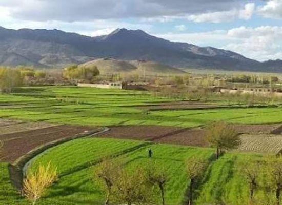 afghanistan/zabul/bar/
