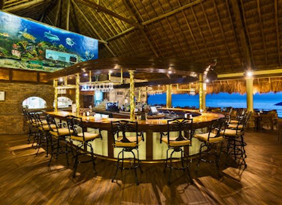 mexico/cozumel/puerto-aventuras/bar/the-money-bar-beach-club