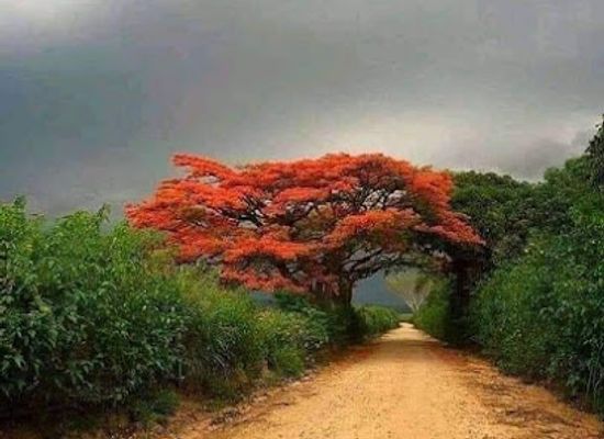 somalia/middle-juba/bar/xaliim-axmed