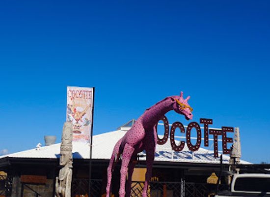 new-caledonia/grande-terre/bar/cocotte