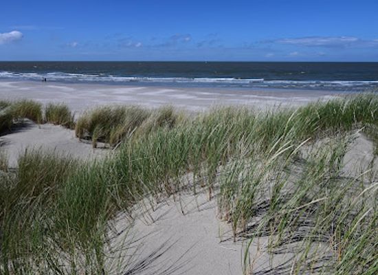 netherlands/wadden-islands/bar/schiermonnikoog