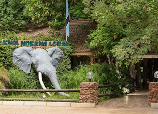 botswana/tuli-block/bar/kwa-nokeng-lodge