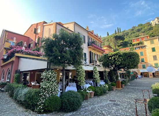 italy/portofino/bar/dav-mare-bar