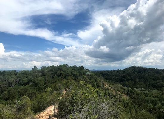 brunei/bukit-shahbandar-recreational-park/bar/bukit-shahbandar