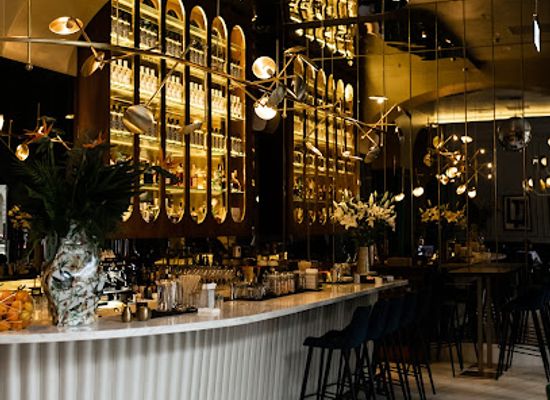 hungary/budapest/andrassy-avenue/bar/sfinx-bar-gin-and-wine-gin-es-bor