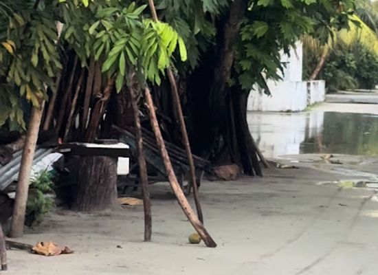 maldives/haa-alif-atoll/bar/goathi-magu-houseboat-bar