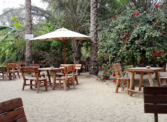 tunisia/the-chott-el-jerid/bar/sahara-lounge