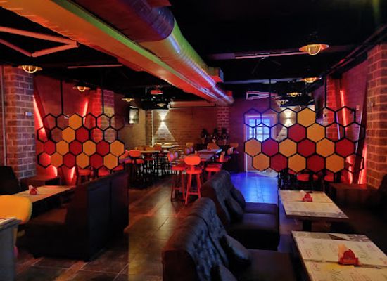 india/pondicherry/auroville/bar/bricz-resto-bar-and-pub-bang-bang-disc