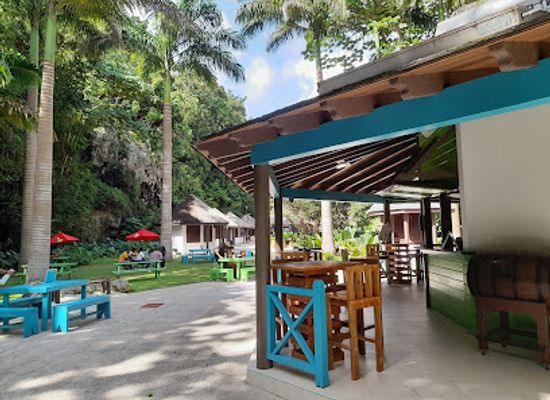 barbados/saint-thomas/bar/green-monkey-bar-grill