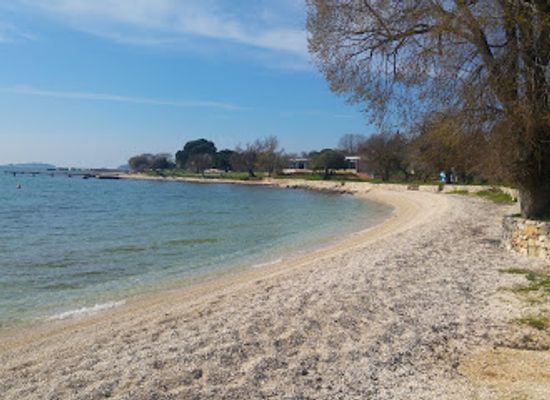 croatia/rovinj-archipelago/bar/barba-danilo