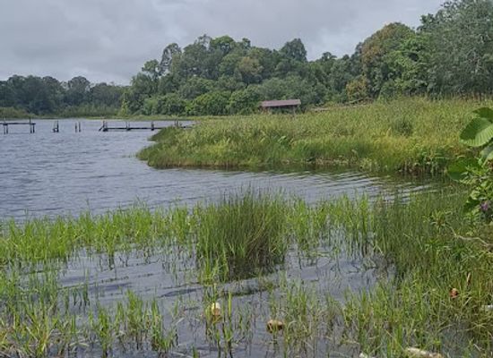 brunei/tasek-merimbun-heritage-park/bar/tasek-merimbun-heritage-park