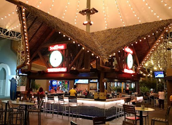 aruba/oranjestad/bar/5-o-clock-somewhere-bar
