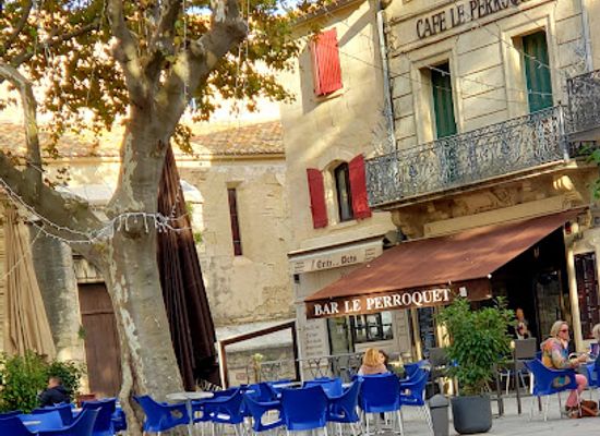france/camargue/bar/bar-le-perroquet