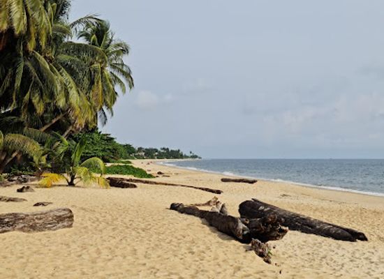 gabon/coastal-plains/bar/tropicana