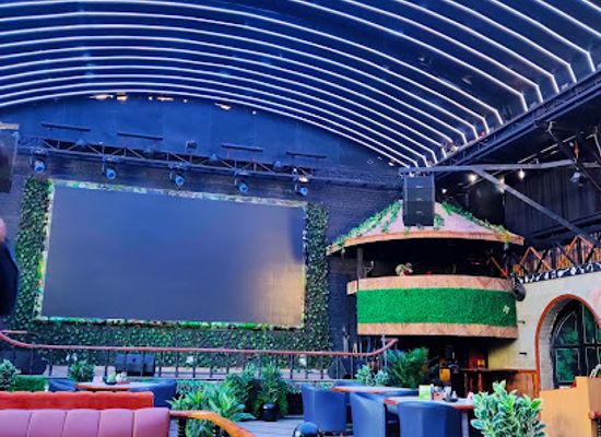 india/punjab/bar/the-jungle-bar