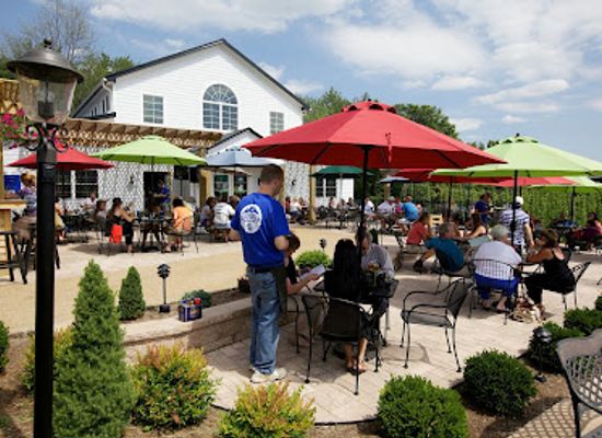 virginia/shenandoah-valley/bar/blue-mountain-brewery
