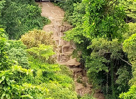 jamaica/north-coast/bar/the-lookout-rasta-bar