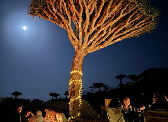 yemen/socotra-archipelago/bar/tour-socotra