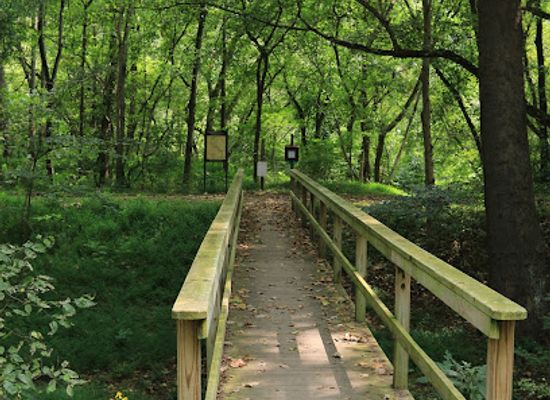maryland/western-maryland/bar/c-o-towpath