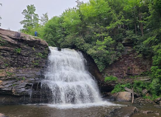 maryland/swallow-falls-state-park/bar/swallow-falls-natural-area