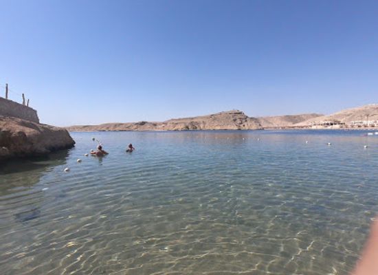 egypt/western-desert/bar/sharm-el-arab