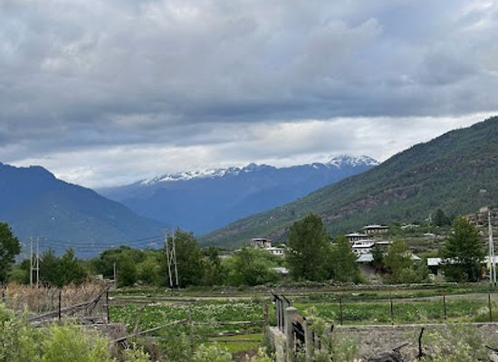 bhutan/paro-valley/bar/paro-club