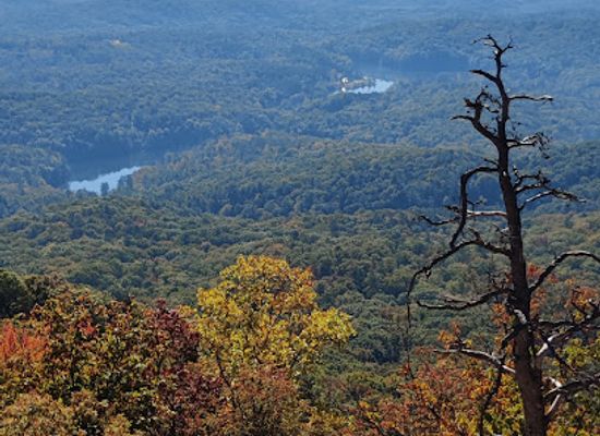 south-carolina/table-rock-state-park/bar/table-rock