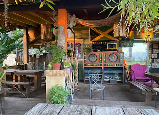 jamaica/great-morass/bar/kingston-dub-club