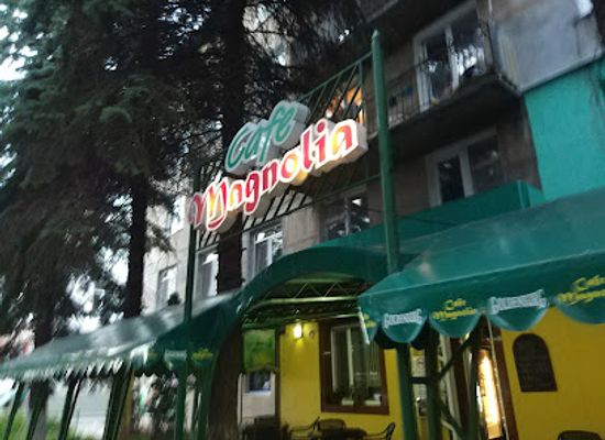 moldova/balti/bar/magnolia