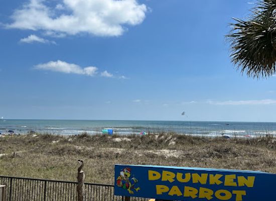 south-carolina/sea-islands/bar/drunken-parrot-tiki-bar
