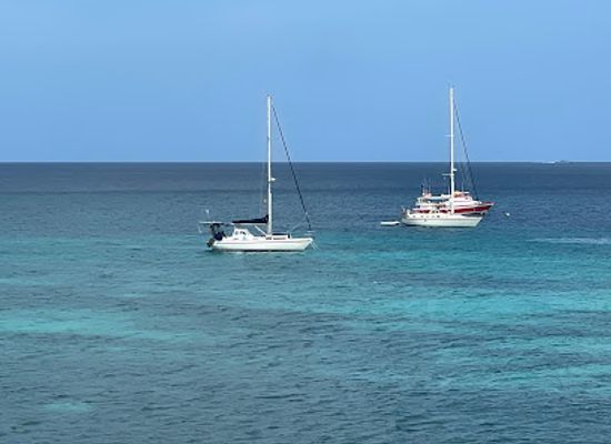 saint-vincent-and-the-grenadines/bequia/bar/lion-s-den