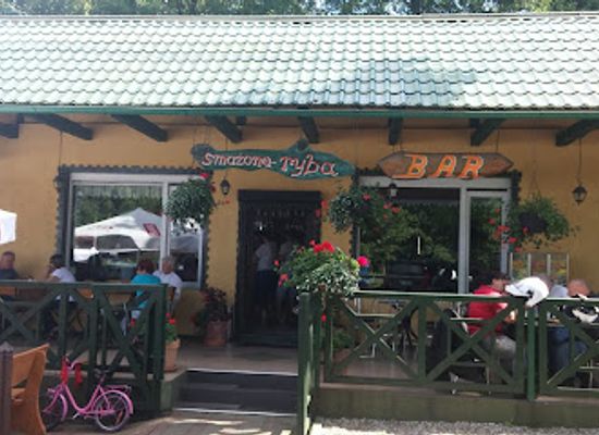 poland/bory-tucholskie/bar/smazona-ryba-bar