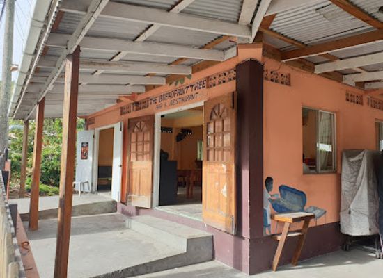 saint-vincent-and-the-grenadines/grenadines/bar/breadfruit-tree-bar-restaurant