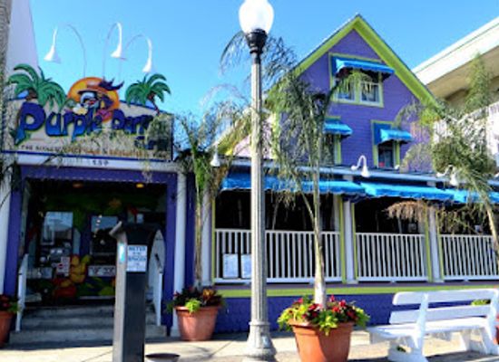 delaware/delmarva-peninsula/bar/purple-parrot-grill-beach-haus-biergarten