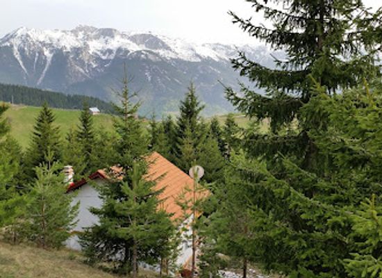 kosovo/peja-mountains/bar/flo-s-restaurant