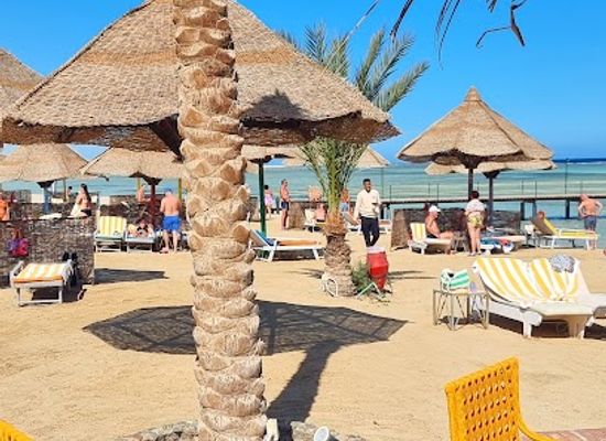 egypt/marsa-alam/bar/fresh-juice-tutti-frutti