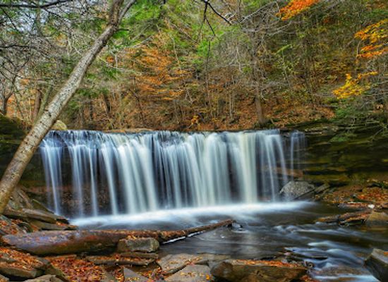 pennsylvania/ricketts-glen-state-park/bar/ricketts-glen-state-park