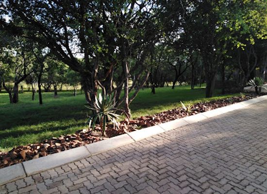 south-africa/bushveld/bar/rooi-ivoor-safari-camp
