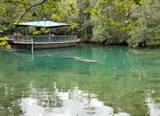 florida/homosassa-springs-wildlife-state-park/bar/ellie-schiller-homosassa-springs-wildlife-state-park-west-entrance