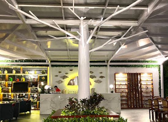 indonesia/tana-toraja/bar/tree-bar-lounge-misiliana
