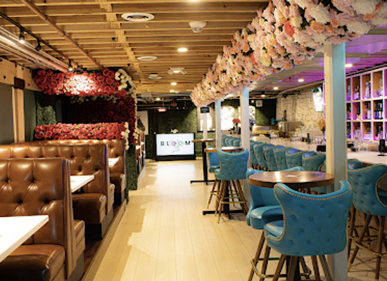 colorado/pikes-peak-region/bar/bloom-ultra-lounge