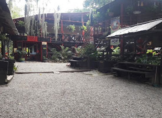 colombia/serrania-del-perija/bar/finca-hostal-la-danta