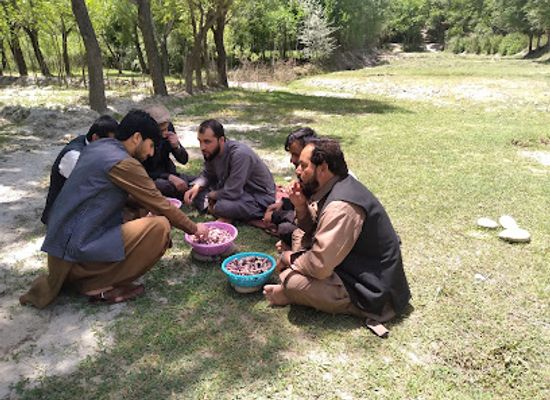 afghanistan/badghis/bar/