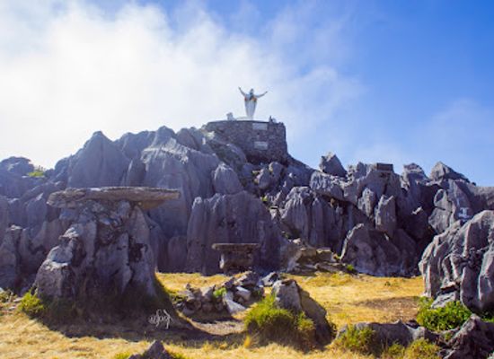timor-leste/matebian-mountain/bar/matebian