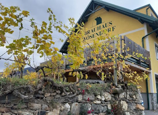 austria/wachau-valley/bar/brauhaus-wosendorf-friesenbichler-og