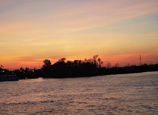 north-carolina/cape-fear-coast/bar/the-husk