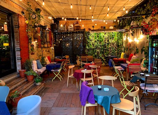 albania/tirana/bar/bar-18-wine-bar