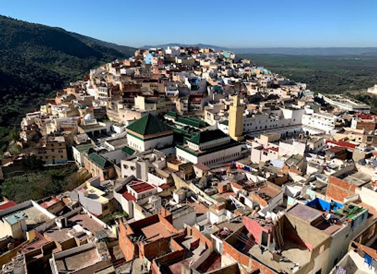 morocco/moulay-idriss-region/bar/scorpion-house