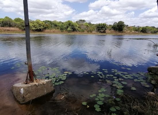 mozambique/cabo-delgado-province/bar/restaurante-bar-chikuirimiti