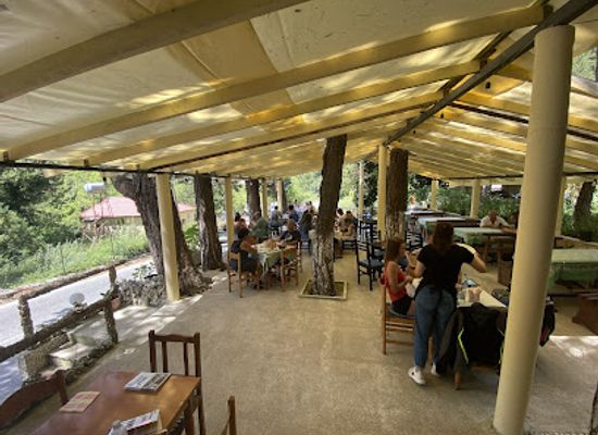 albania/llogara-national-park/bar/restorant-noeli